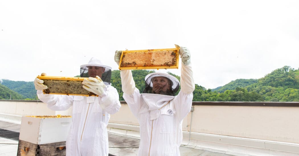 student bee keepers