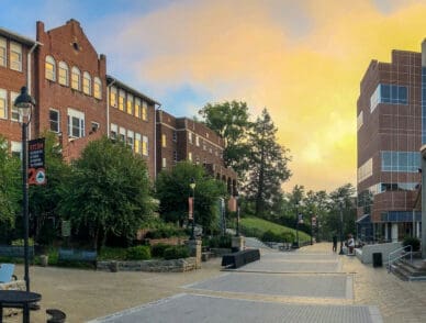 A panorama of campus and benefactors plaza on an early summer morning with the sun rising