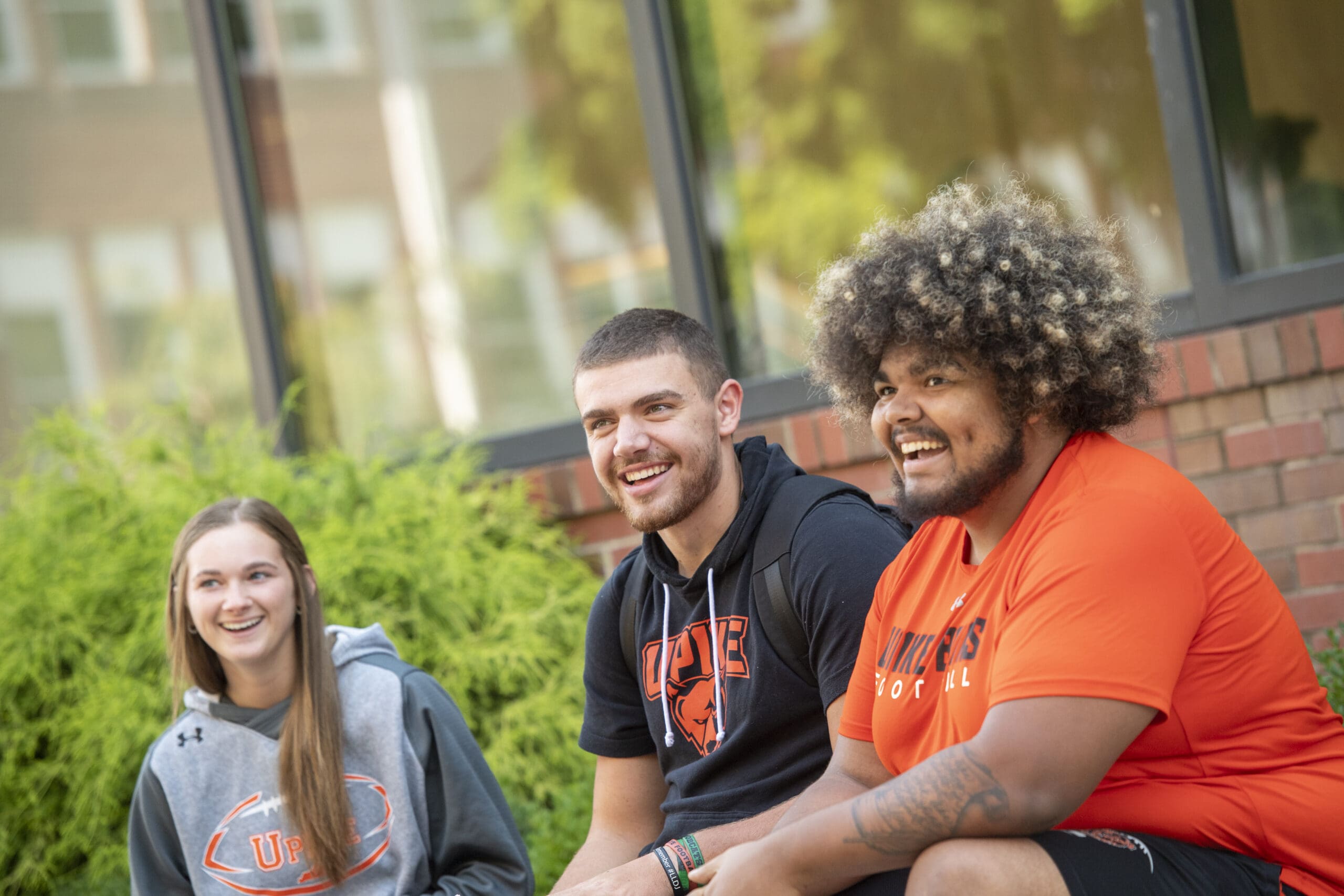 Canvas Login UPIKE