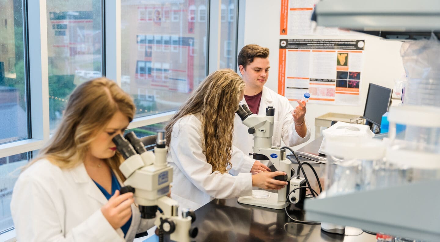 three undergrad students doing summer research in med school research lab