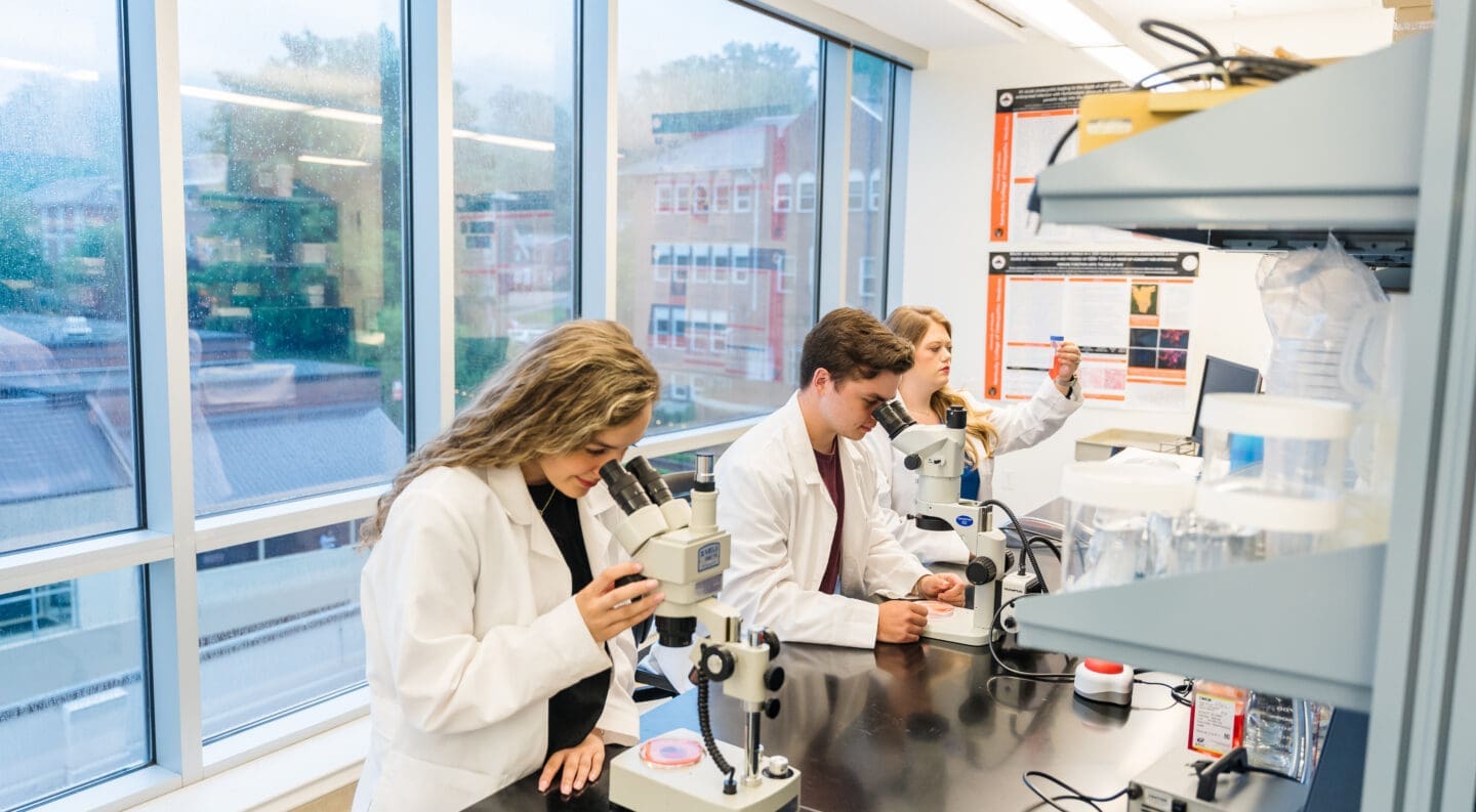 three undergrad students doing summer research in med school research lab