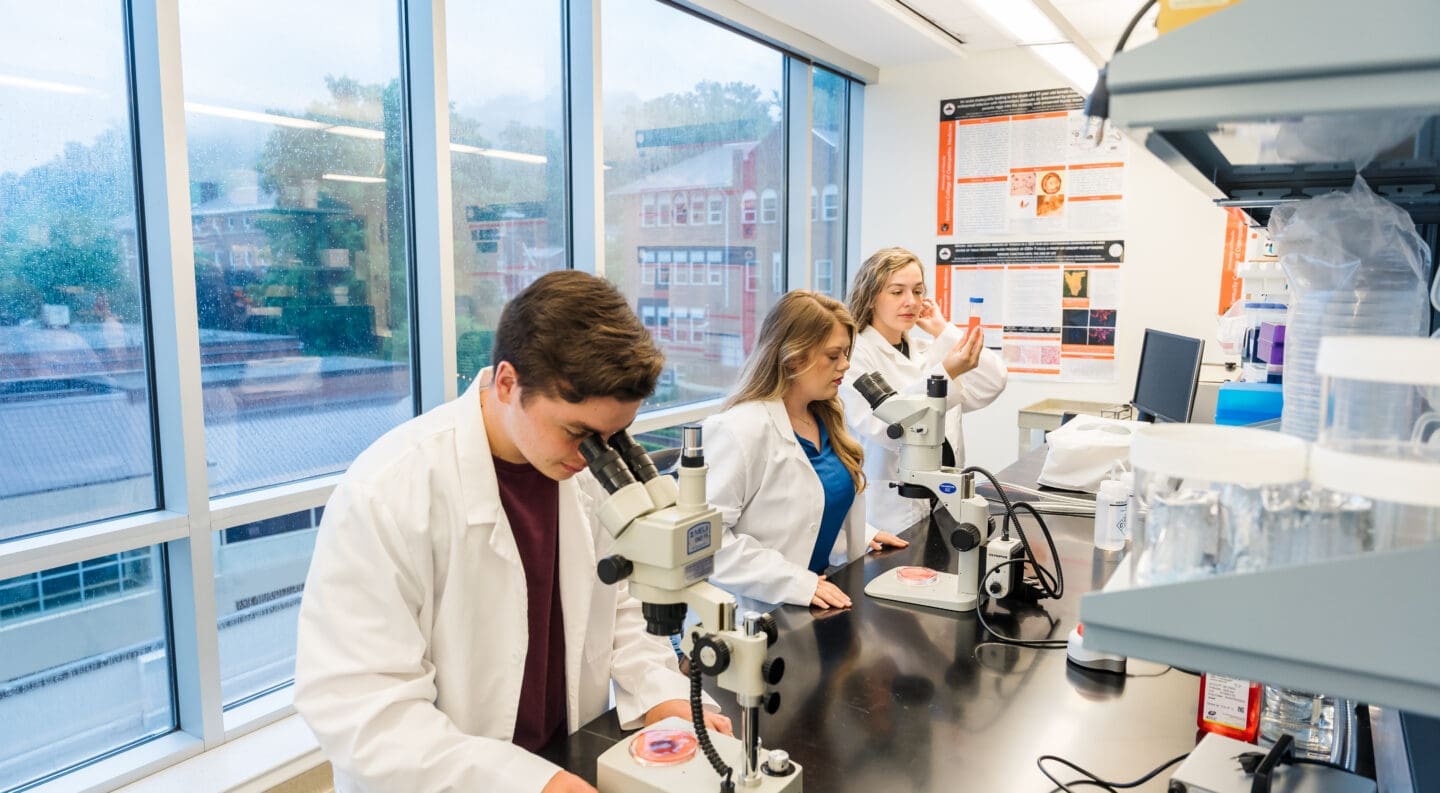 three undergrad students doing summer research in med school research lab