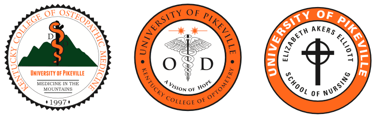 Brand Guidelines | UPIKE