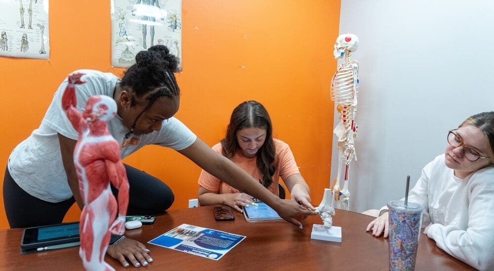 Student Studying Kinesiology
